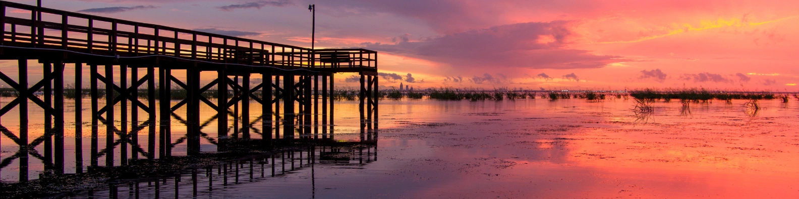 Marine LinkedIn Banner